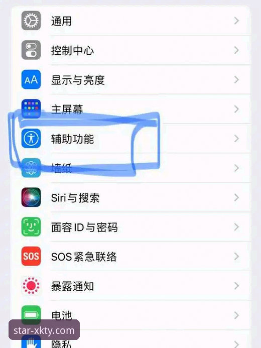 如何安全高效地完成星空体育专业体育App安装教程？